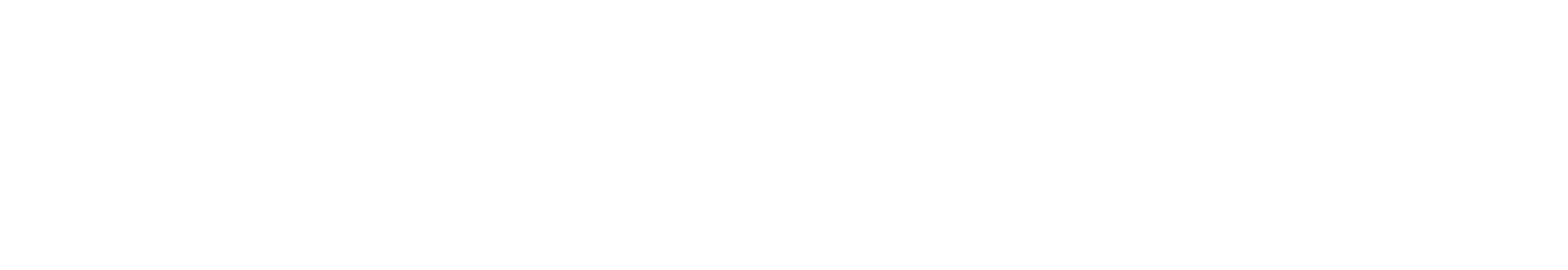 MechanicNow